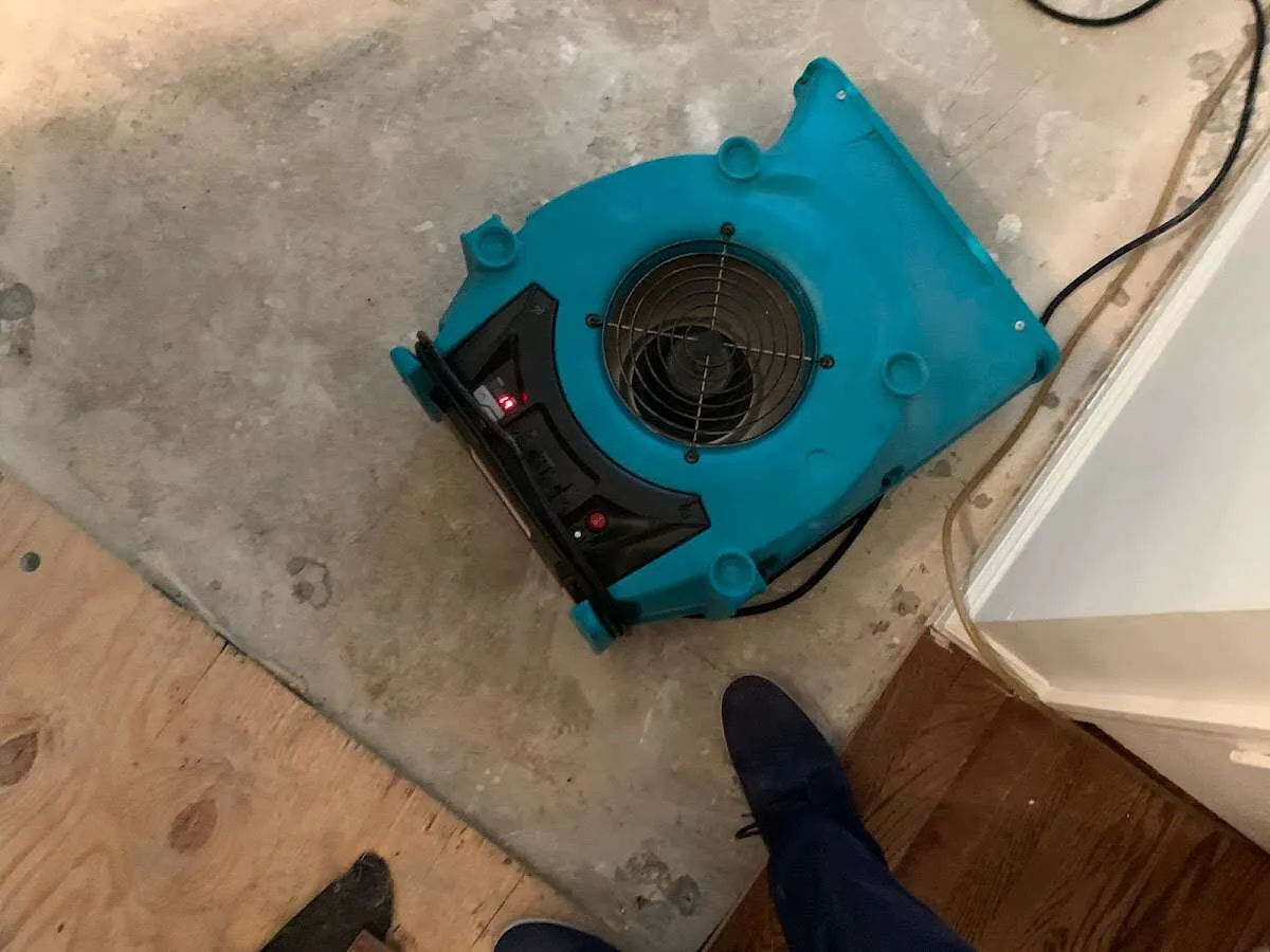 Air mover drying subfloor during Commercial Water Damage Restoration in Birdsboro